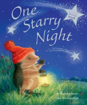 One Starry Night: A Sparkly Starry Book - Book #6 of the Little Hedgehog