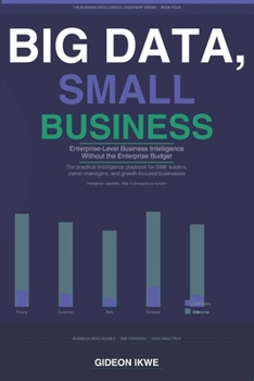 BIG DATA, SMALL BUSINESS: Enterprise-Level Business Intelligence Without the Enterprise Budget (THE BUSINESS INTELLIGENCE LEADERSHIP SERIES)