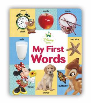 Board book My First Words Book
