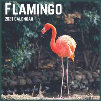 Flamingo 2021 Calendar: Official Flamingoes Birds Wall Calendar 2021