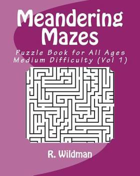 Paperback Meandering Mazes: Puzzle Books for All Ages - Medium Difficulty Book