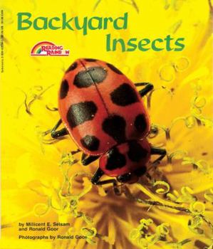 Paperback Backyard Insects Book