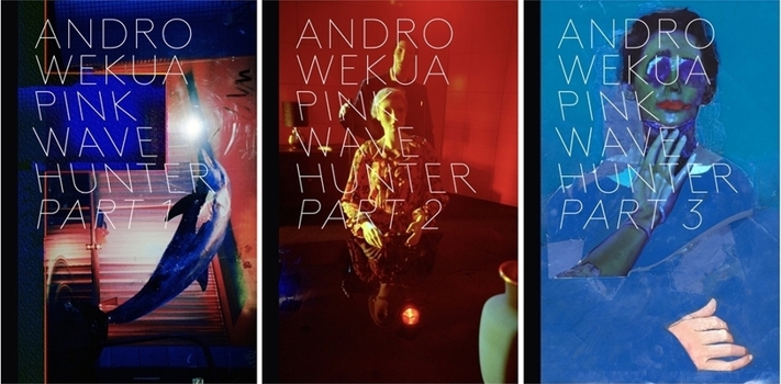 Paperback Andro Wekua: Pink Wave Hunter, 3 Volumes Book