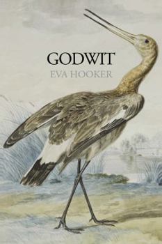 Paperback Godwit Book