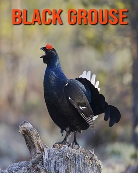 Paperback Black Grouse: Super Fun Facts And Amazing Pictures Book