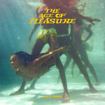 Vinyl The Age Of Pleasure Book