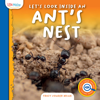 Hardcover Let's Look Inside an Ant's Nest Book