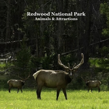 Paperback Redwood National Park Animals and Attractions Kids Book: Great Way for Children to See Redwood National and State Parks Book