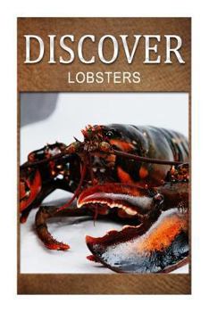 Paperback Lobster - Discover: Early reader's wildlife photography book