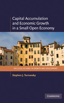 Hardcover Capital Accumulation and Economic Growth in a Small Open Economy Book
