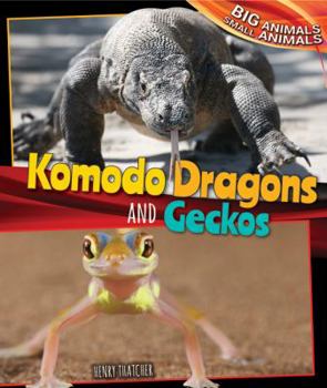 Paperback Komodo Dragons and Geckos Book