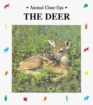 Paperback The Deer (Animal Close-Ups) Book