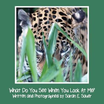 Paperback What Do You See When You Look at Me? Book