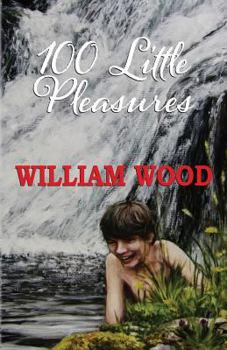Paperback 100 Little Pleasures Book