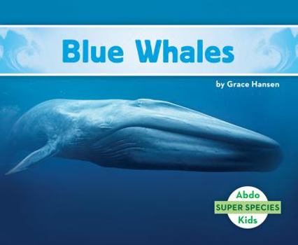 Library Binding Blue Whales Book