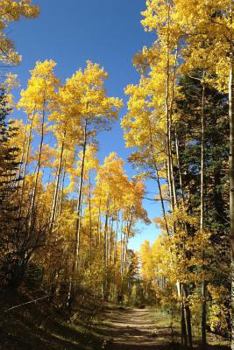 Paperback Yellow Leaves on an Aspen Tree in the Fall Journal: 150 Page Lined Notebook/Diary Book