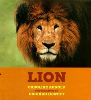 Hardcover Lion Book