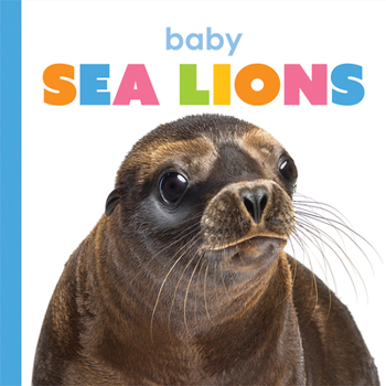 Paperback Baby Sea Lions Book