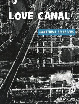 Paperback Love Canal Book