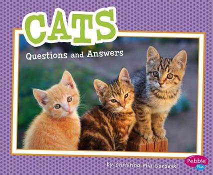 Hardcover Cats: Questions and Answers Book