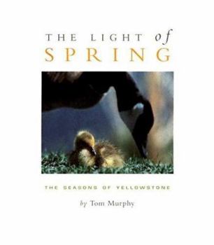 Hardcover The Light of Spring: The Seasons of Yellowstone Book