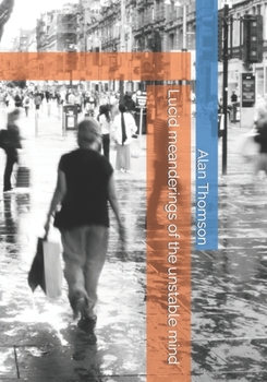 Paperback Lucid meanderings of the unstable mind Book
