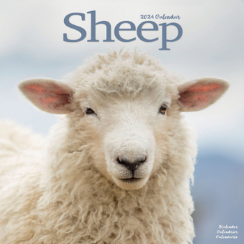 2024 Sheep Wall Calendar