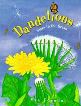 Hardcover Dandelions: Stars in the Grass (Carolrhoda Picture Books) Book