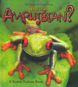 Paperback What Is an Amphibian? Book