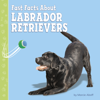 Hardcover Fast Facts about Labrador Retrievers Book