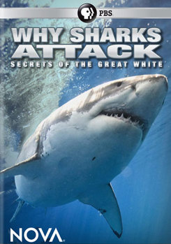 DVD Nova: Why Sharks Attack Book