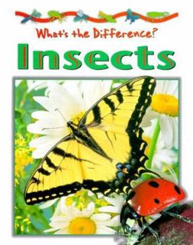 Hardcover Insects Book