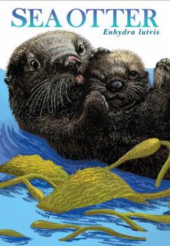 Pamphlet SEA OTTER Enhydra lutris, NATURE UNFOLDING Science Guide#13 Book