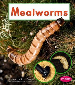 Hardcover Mealworms Book
