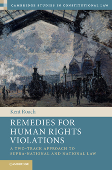 Hardcover Remedies for Human Rights Violations Book