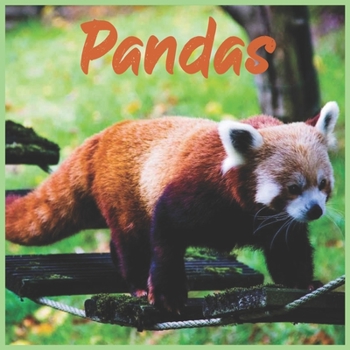 Paperback Pandas: 2021 wall & Office Calendar 16 Monthe Book