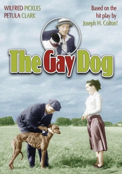 Gay Dog
