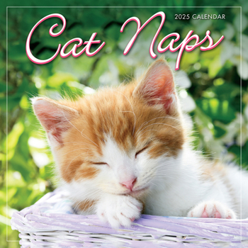 Office Product 2025 Cat Naps Mini Calendar Book