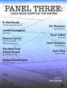 Paperback Panel Three: Comic Book Scripts by Top Writers Book