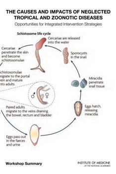 The Causes and Impacts of Neglected Tropical and Zoonotic Diseases: Opportunities for Integrated Intervention Strategies