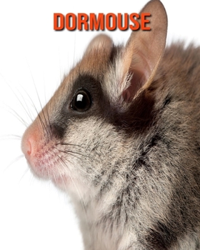 Dormouse: Amazing Photos & Fun Facts Book About Dormouse For Kids