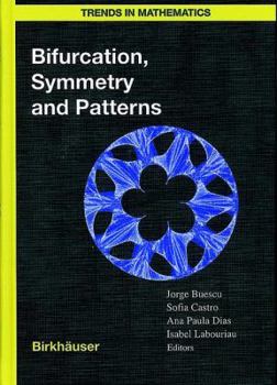 Paperback Bifurcation, Symmetry and Patterns Book