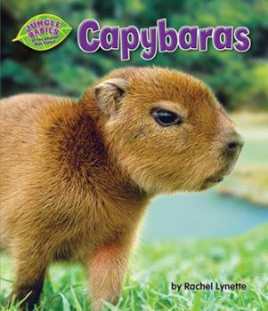 Capybaras - Book  of the Jungle Babies of the Amazon Rain Forest