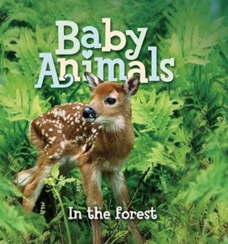 Baby Animals In the Forest - Book  of the Baby Animals