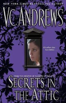 Secrets in the Attic