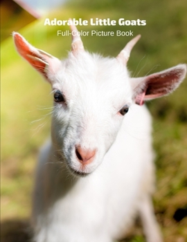 Adorable Little Goats Full-Color Picture Book: Animals Photography Book