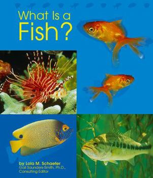 Paperback What Is a Fish? Book