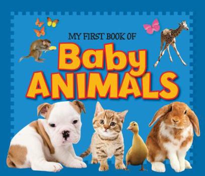 Board book My First Book of Baby Animals Book