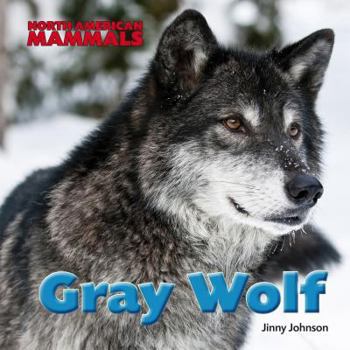 Gray Wolf - Book  of the North American Mammals