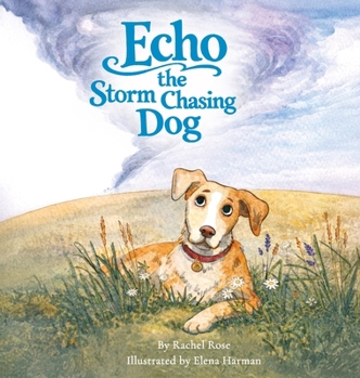 Hardcover Echo the Storm Chasing Dog Book
